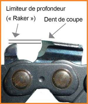 Affûtage et entretien de scies à chaîne