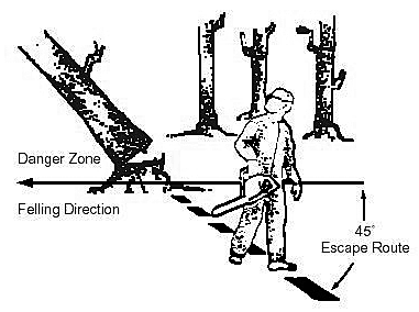 Escape routes angles