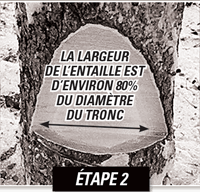 Étape 2