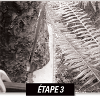 Étape 3