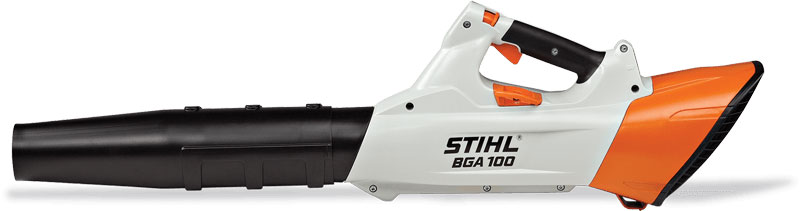 BGA 100