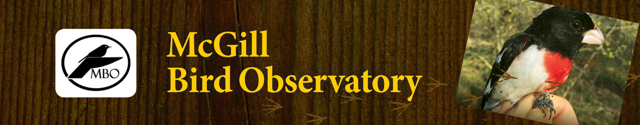 McGill Bird Observatory