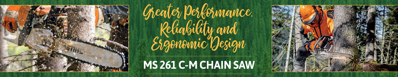 MS 261 C-M Chain Saw