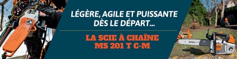 La scie à chaîne MS 201 T C-M