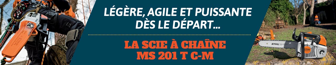 La scie à chaîne MS 201 T C-M